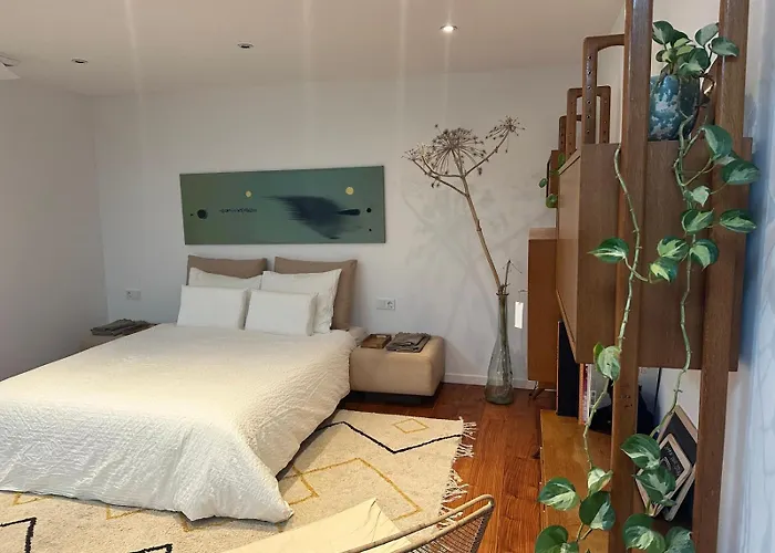 Appartement Senang Nimègue